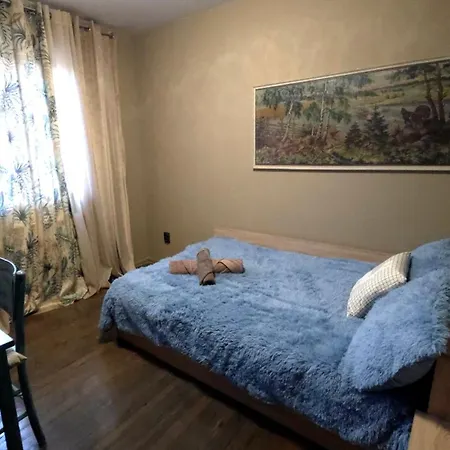 Guest house Nayri House *